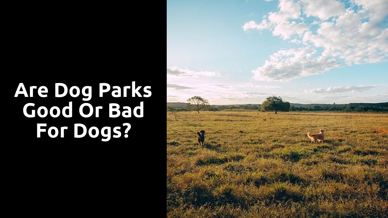 Are dog parks good or bad for dogs?