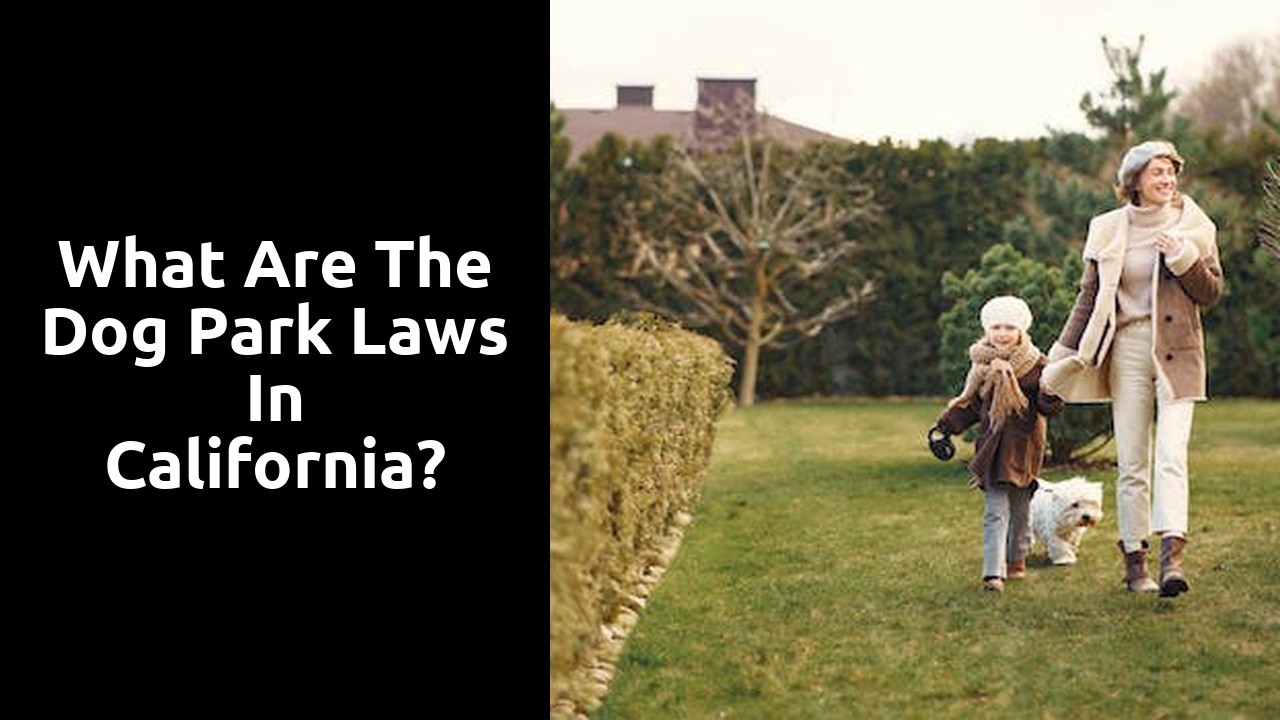 What are the dog park laws in California?